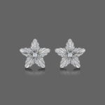 Star Studded Diamond Earring