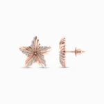 Star Studded Diamond Earring