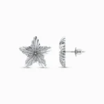 Star Studded Diamond Earring