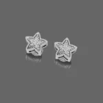 Twinkle Star Earrings For Kids