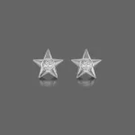 The Shining Stars Earrings For Kids
