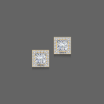 1.2ct Princess Halo Lab Diamond Earrings