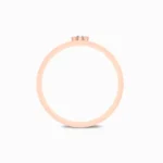 Liam-Natral-Diamond-Ring-For-Men-Rose-Gold-Basket-View