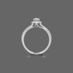 Gleaming Diamond Ring