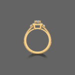 Emerald Cut Engagement Ring