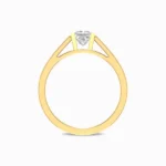 Princess-Cut-Natural-Diamond-Men’s-Ring-Yellow-Gold-Basket-View